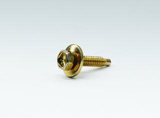 1/4-20x1-1/8 body bolt GOLD